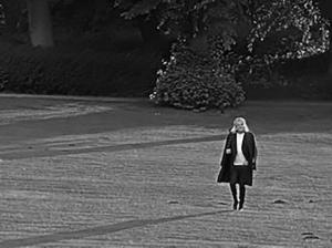IMG_0528
