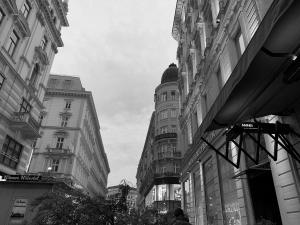 IMG_8138
