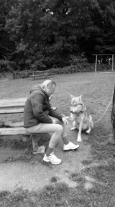 Bildschirmfoto 2017-09-03 um 09.49.29