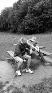 Bildschirmfoto 2017-09-03 um 09.50.00