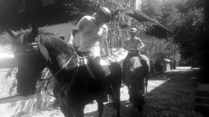 IMG-20190
