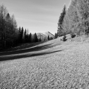 IMG_0144