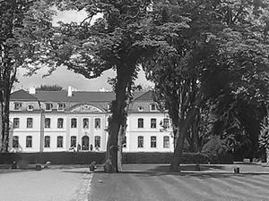 IMG 0532