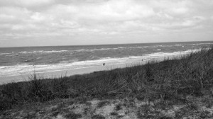 IMG_20160608_120602