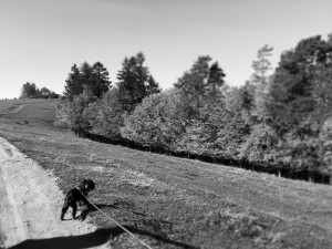 IMG_7719