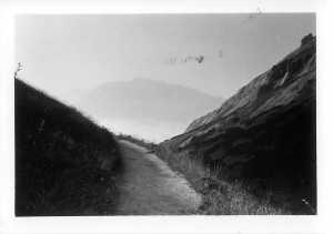 Scan_151541_20160711